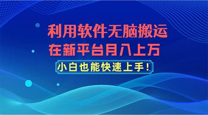 利用软件无脑搬运，在新平台月入上万，小白也能快速上手-知联副业