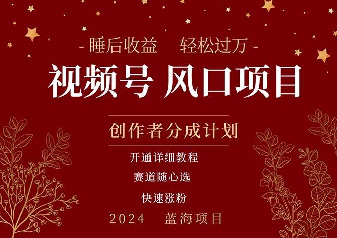 拥有睡眠收益的微信视频号大风口项目，轻松月入过万+，多赛道选择，可…-知联副业