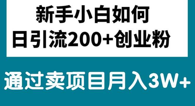 新手小白日引流200+创业粉,通过卖项目月入3W+-知联副业