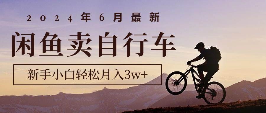 2024年6月最新闲鱼卖自行车，新手小白轻松月入3w+项目-知联副业