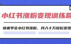 2024小红书涨粉变现训练营,快速学会小红书涨粉,月入十万轻松变现(40节)-知联副业