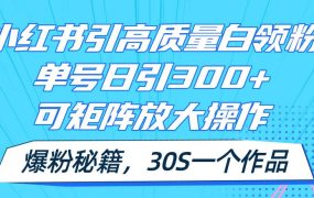 小红书引高质量白领粉,单号日引300+,可放大操作,爆粉秘籍!30s一个作品-知联副业