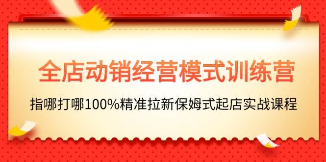 全店动销-经营模式训练营，指哪打哪100%精准拉新保姆式起店实战课程-知联副业