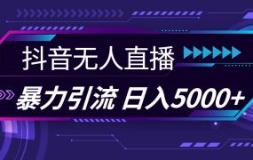 抖音无人直播,暴利引流,日入5000+-知联副业