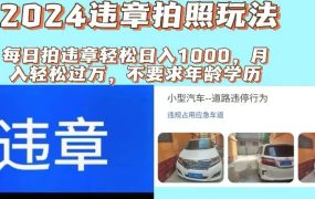 2024违章拍照新玩法,推广躺赚+拍照赚钱双模式,日入1000+-知联副业