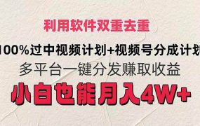 利用软件双重去重,100%过中视频+视频号分成计划小白也可以月入4W+-知联副业
