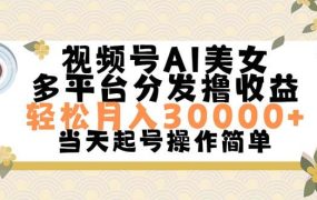 视频号AI美女,轻松月入30000+,操作简单轻松上手-知联副业
