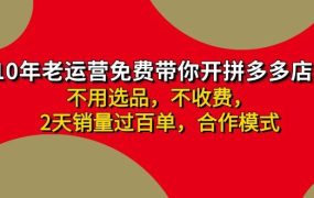 拼多多 最新合作开店日收4000+两天销量过百单,无学费、老运营代操作、...-知联副业