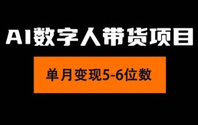 2024年Ai数字人带货，小白就可以轻松上手，真正实现月入过万的项目-知联副业