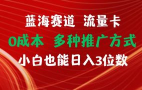 蓝海赛道 流量卡 0成本 小白也能日入三位数-知联副业