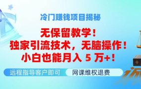 冷门赚钱项目无保留教学！独家引流技术，无脑操作！小白也能月入5万+！-知联副业