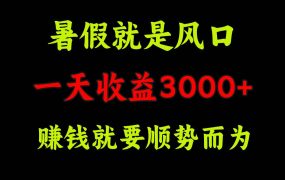 一天收益3000+ 赚钱就是顺势而为,暑假就是风口-知联副业