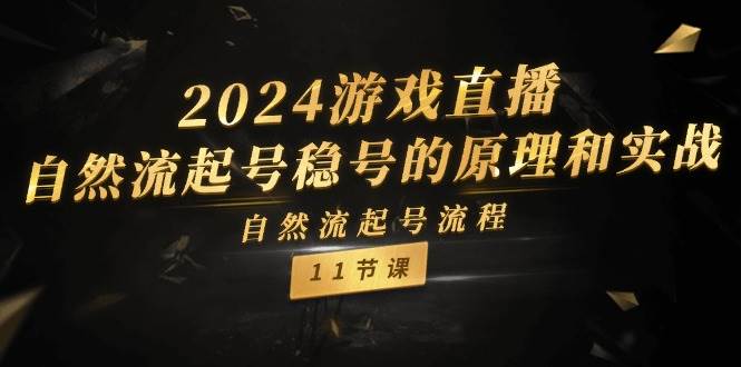 2024游戏直播-自然流起号稳号的原理和实战，自然流起号流程（11节）-知联副业