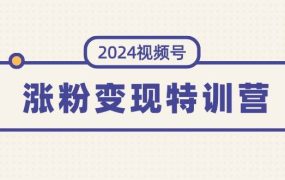 2024视频号-涨粉变现特训营:一站式打造稳定视频号涨粉变现模式(10节)-知联副业