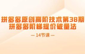 拼多多原创高阶技术第38期,拼多多阶梯提价破量法(14节课)-知联副业