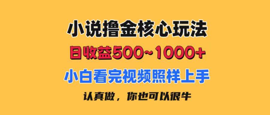小说撸金核心玩法，日收益500-1000+，小白看完照样上手，0成本有手就行-知联副业