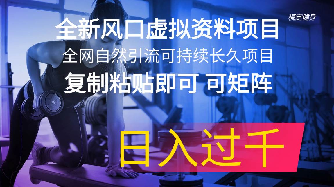 全新风口虚拟资料项目 全网自然引流可持续长久项目 复制粘贴即可可矩阵…-知联副业