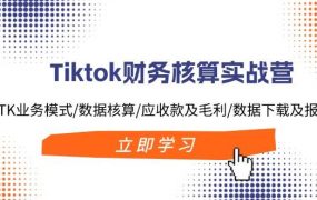 Tiktok财务核算实战营:TK业务模式/数据核算/应收款及毛利/数据下载及报表-知联副业
