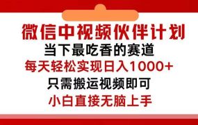 微信中视频伙伴计划,仅靠搬运就能轻松实现日入500+,关键操作还简单,...-知联副业