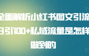 全面解析小红书图文引流日引100私域流量是怎样做到的-知联副业