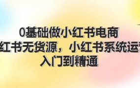 0基础做小红书电商,小红书无货源,小红书系统运营,入门到精通 (70节)-知联副业