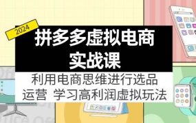 拼多多虚拟电商实战课:虚拟资源选品+运营,高利润虚拟玩法(更新14节)-知联副业