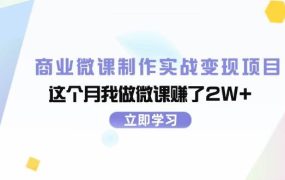 商业微课制作实战变现项目,这个月我做微课赚了2W+-知联副业