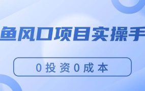 闲鱼风口项目实操手册,0投资0成本,让你做到,月入过万,新手可做-知联副业