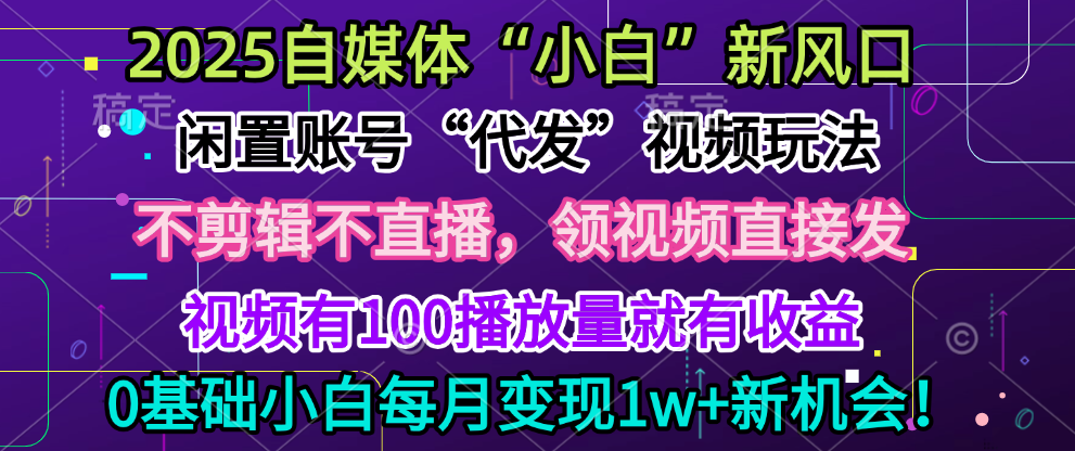 2025每月躺赚5w+新机会，闲置视频账号一键代发玩法，0粉不实名不剪辑，领了视频直接发，0基础小白也能日入300+-知联副业