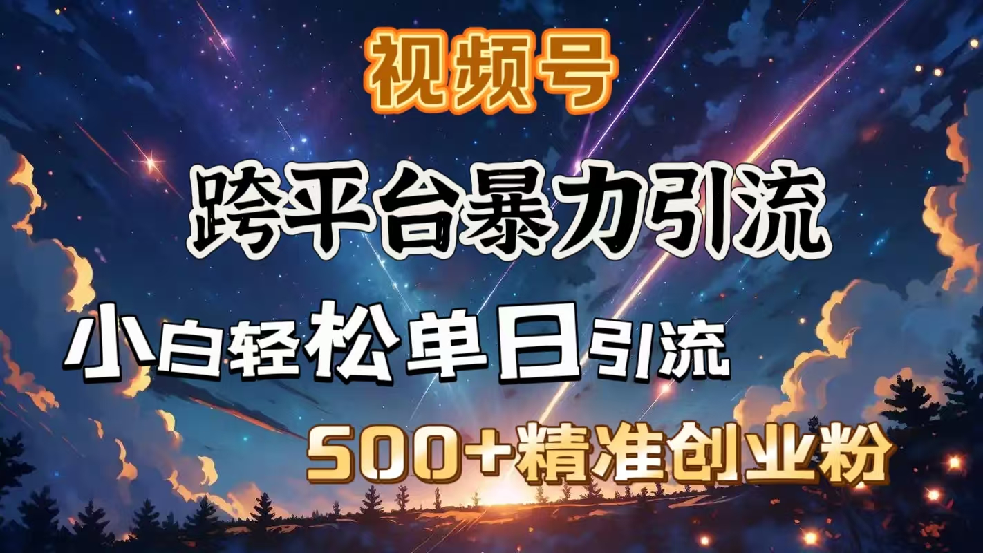 视频号跨平台暴力引流，小白轻松单日引流500＋精准创业粉-知联副业