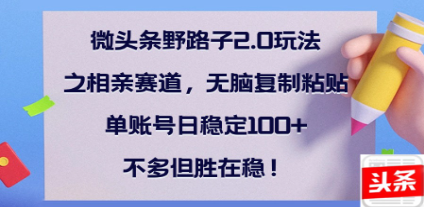 全网首发微头条野路子2.0玩法之相亲赛道，无脑搬砖复制粘贴，单账号日稳定300+保姆级教程-知联副业