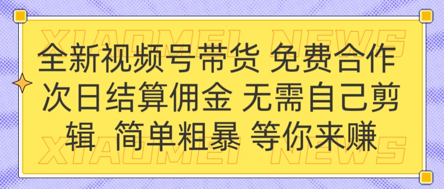 全新视频号 免费合作 佣金次日结算 无需自己剪辑-知联副业