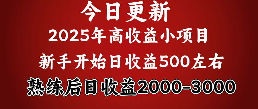 2025开年好项目，新手日收益500+ 熟练掌握后，日收益平均2000多-知联副业