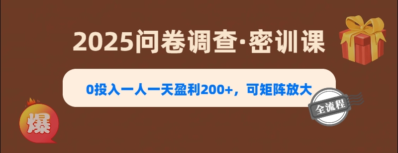 2025《问卷调查》0投入一人一天盈利200+，可矩阵放大-知联副业