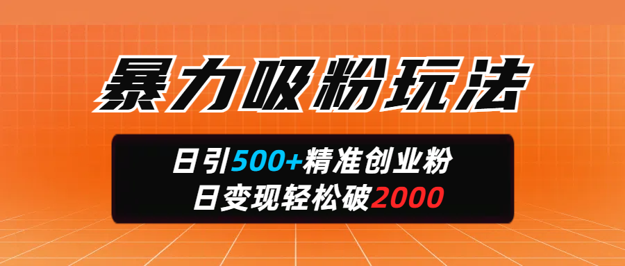 暴力吸粉玩法,日引500+精准创业粉,日变现轻松破2000-知联副业
