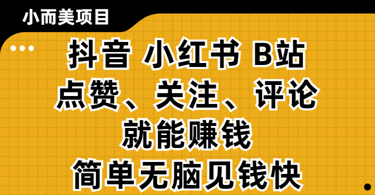 小而美的项目，抖音、小红书、B站视频点赞、关注、评论就能赚钱，简单无脑立见收益！妥妥的零撸项目-知联副业