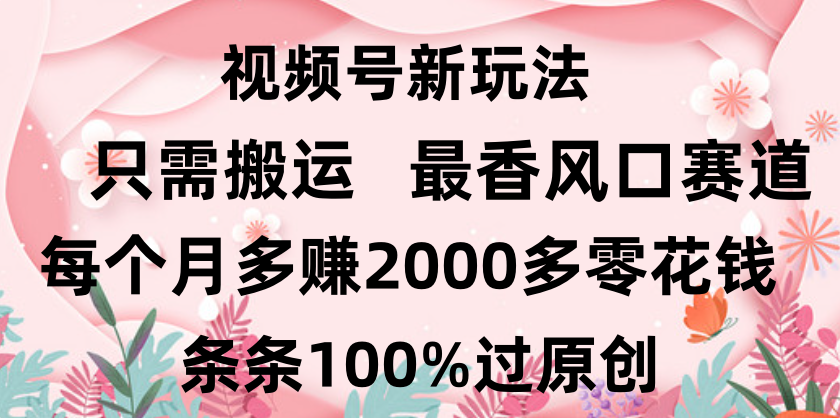 日入2000+，条条100%过原创，视频号最香风口赛道，小白轻松上手-知联副业