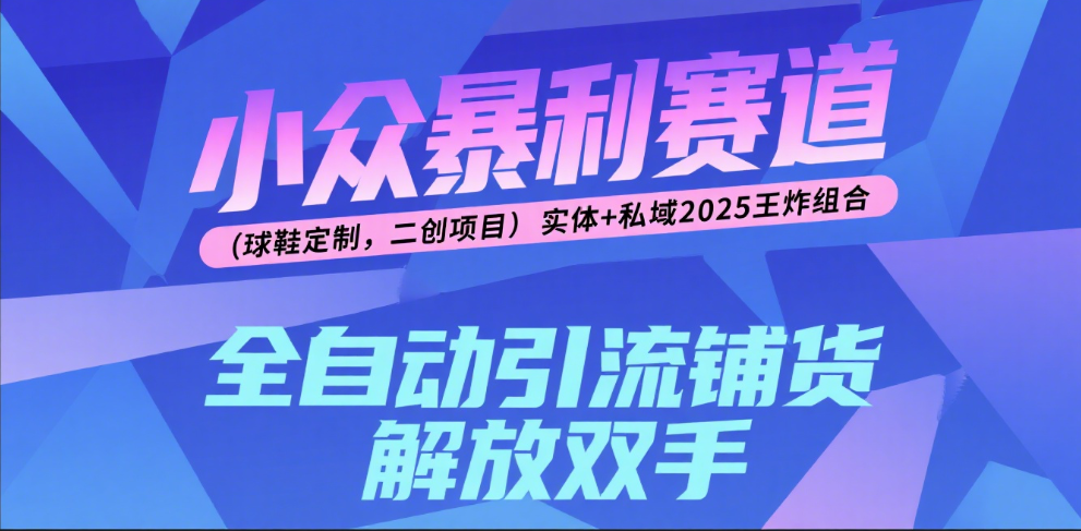 楠—小众暴利赛道（球鞋定制，二创项目）实体+私域2025王炸组合-知联副业