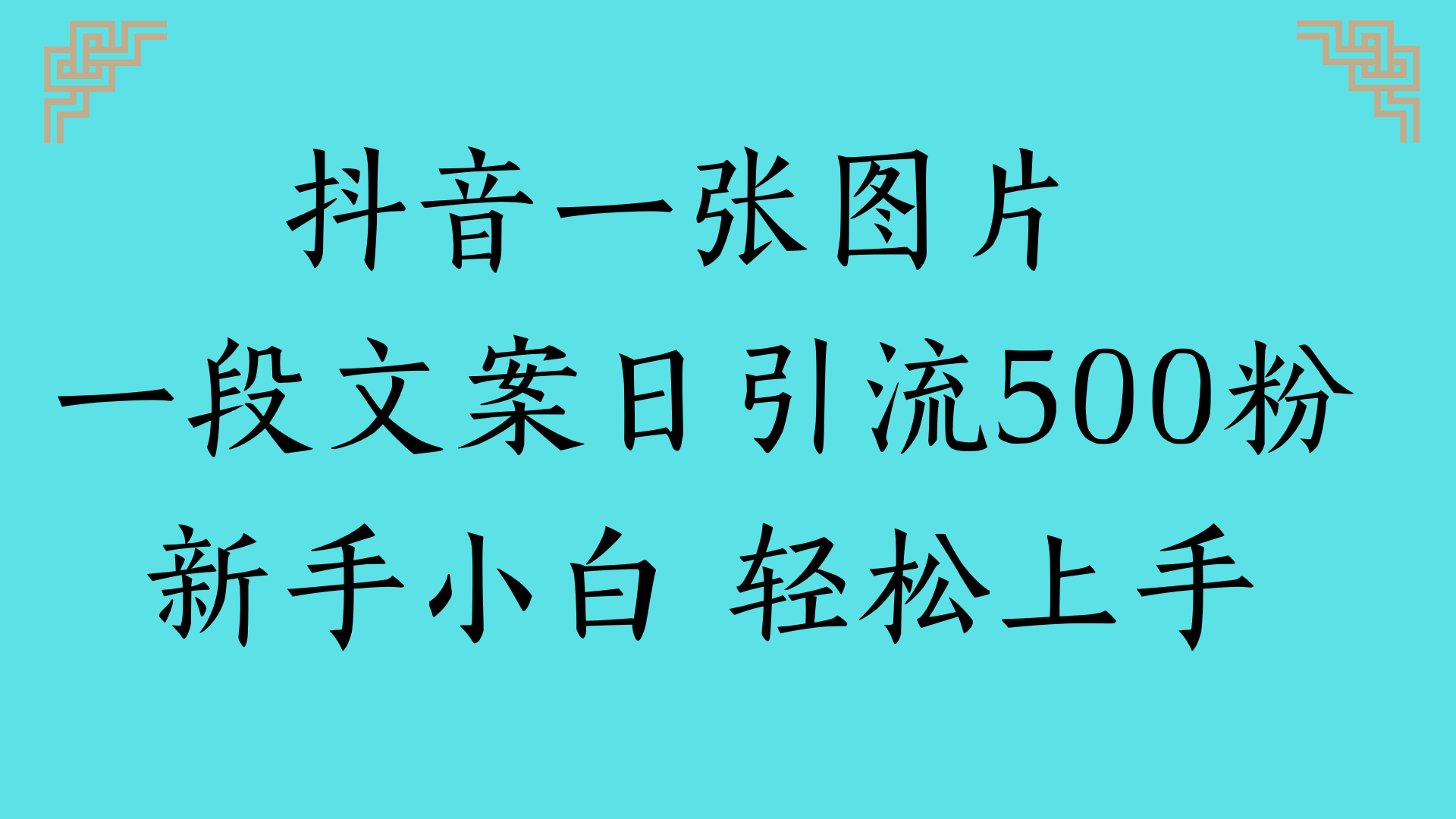抖音一张图片 一段文案日引流500粉新手小白 轻松上手-知联副业
