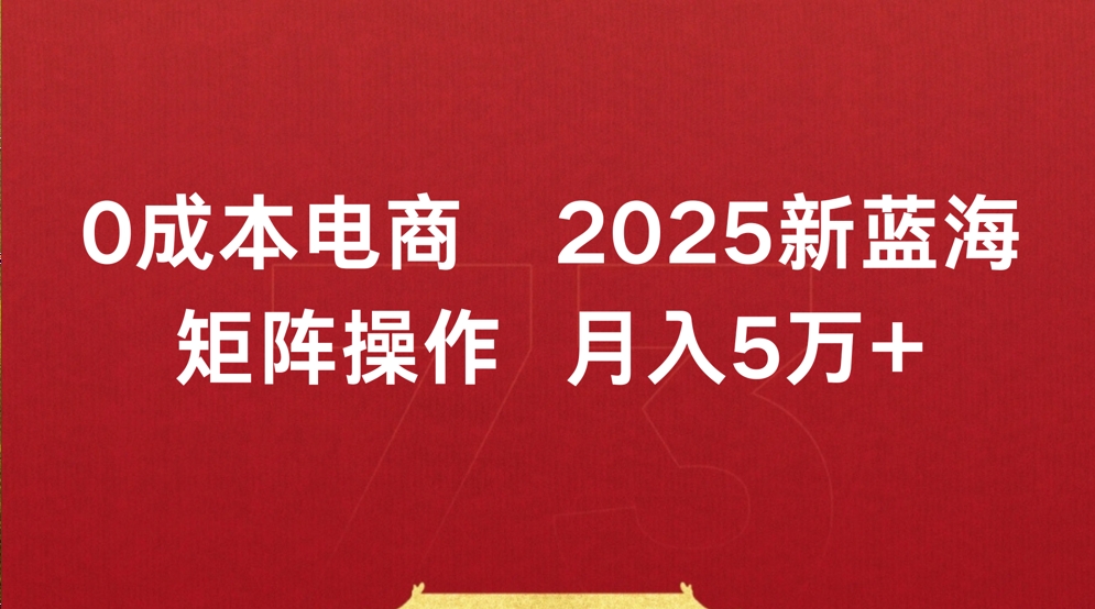 0成本电商2025新蓝海矩阵操作 月入5万+-知联副业