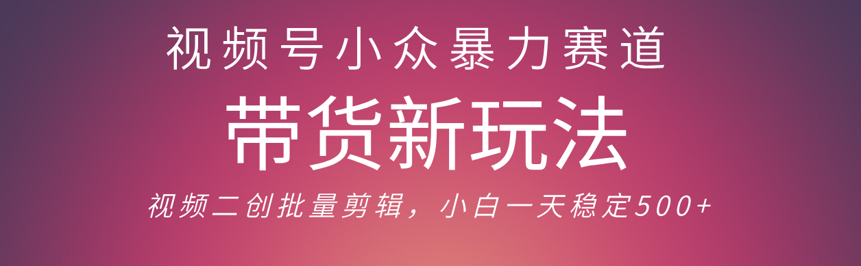 视频号小众暴力赛道，最新带货玩法 小白也能轻松日入500+ 保姆及教程-知联副业