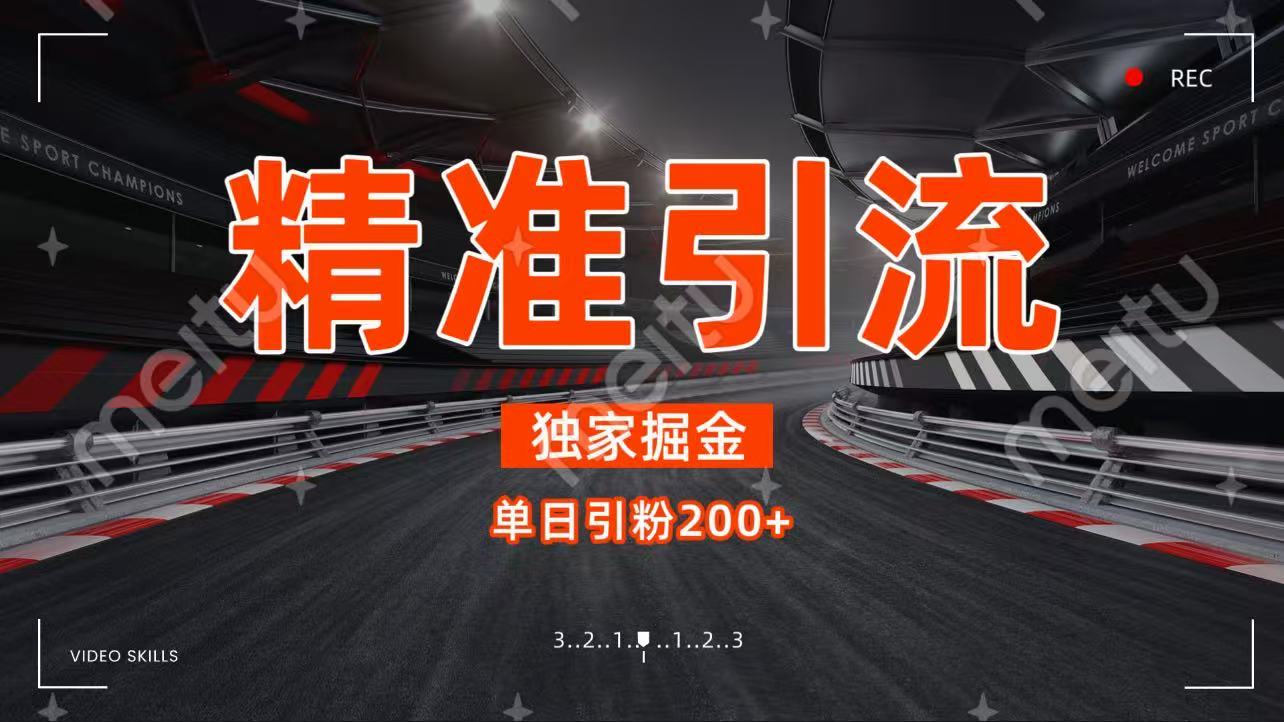 独家野路子精准引流 每日200+-知联副业