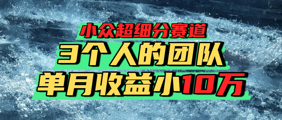 小众超细分赛道，一年百万利润的盘子！-知联副业