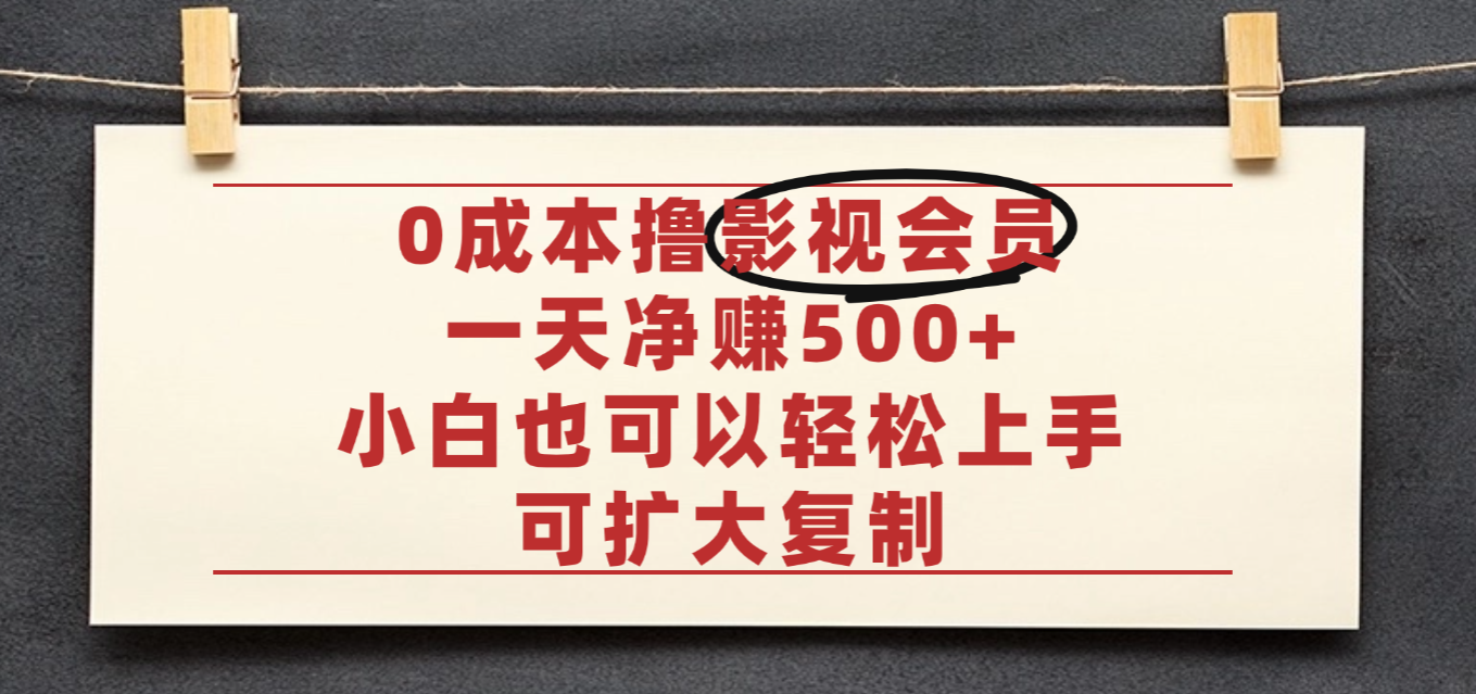 亲测,0成本可批量操作,靠卖影视会员实测月入30000+-知联副业
