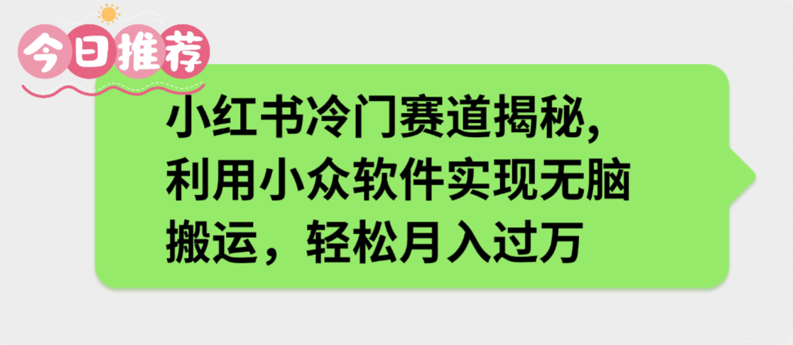 小红书冷门赛道揭秘,利用小众软件实现无脑搬运，轻松月入过万-知联副业